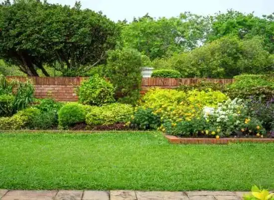 landscaping services Belvoir